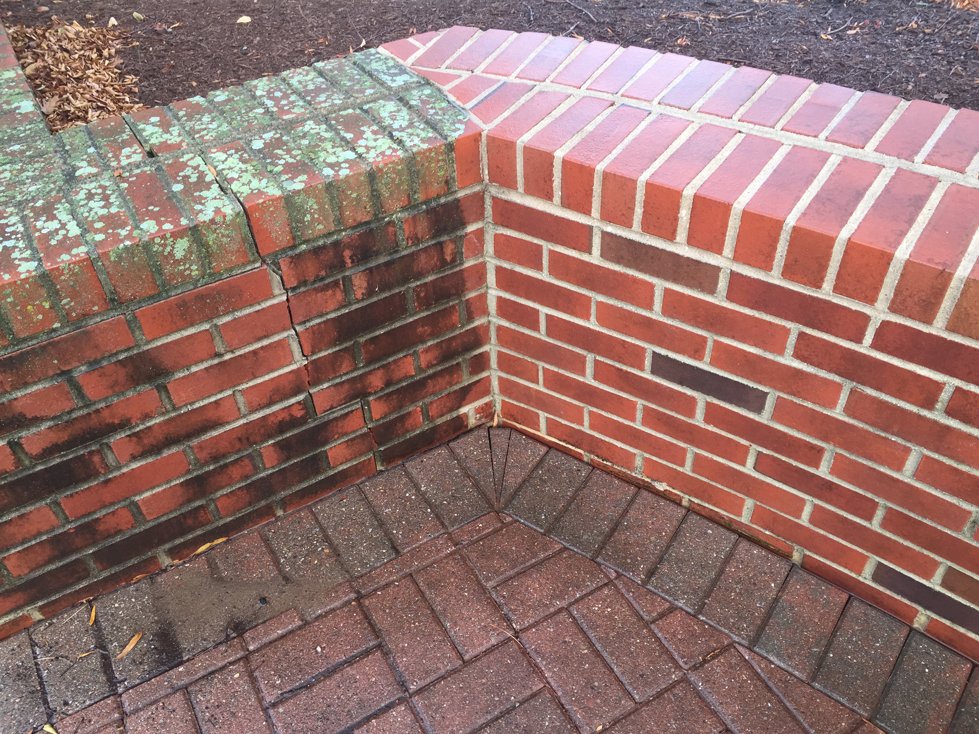 Soft Washing A brick Surface